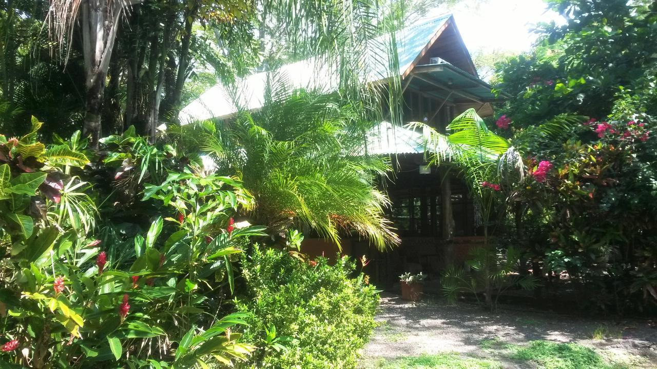 Playa Negra Casa Mymy 호스텔 외부 사진