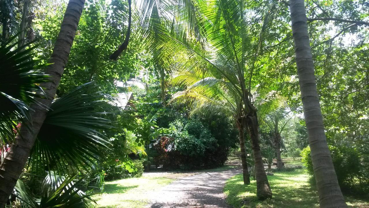 Playa Negra Casa Mymy 호스텔 외부 사진